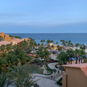 Meet your Posher, Brody